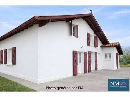 nm immobilier