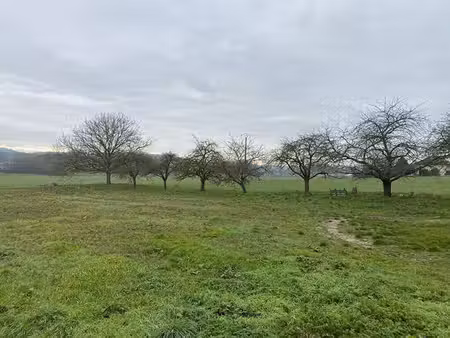 terrain à vendre