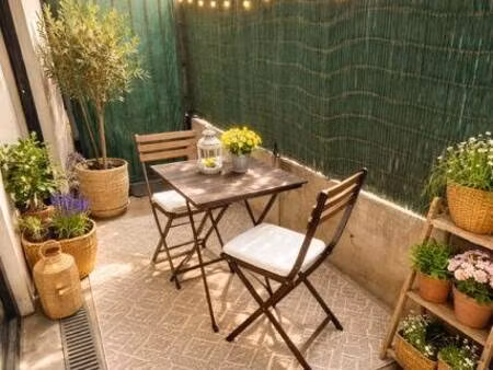 cabinet immobilier lejeune