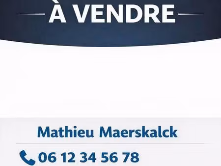 local commercial à vendre