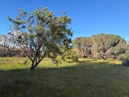 terrain constructible viabilisé à vendre