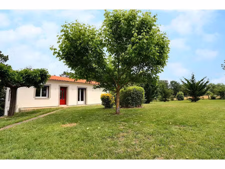 maison t5 avec sous sol - lescure d'albigeois