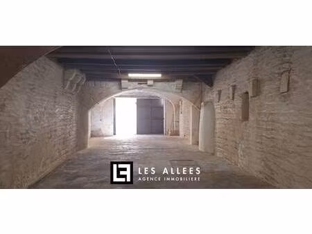 immobilière les allées