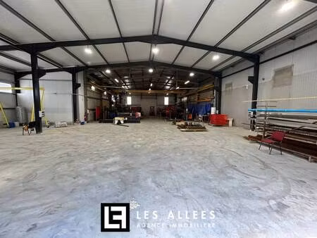 immobilière les allées