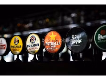 vanarith huot bsk immobilier