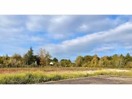 terrain constructible viabilisé à vendre