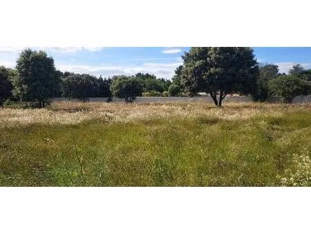 terrain constructible à vendre