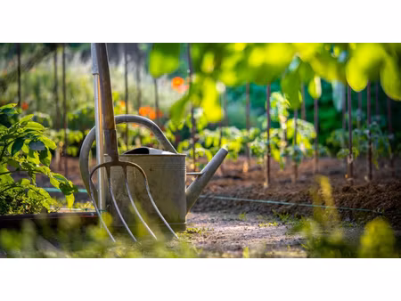 jardin potager à perpignan