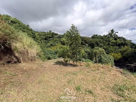 bois de nefles saint paul - grand terrain de 1 050 m2