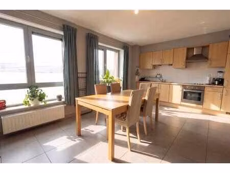 appartement 1 ch avec terrasse