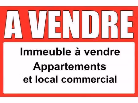 immeuble à vendre