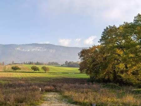 terrain constructible viabilisé à vendre