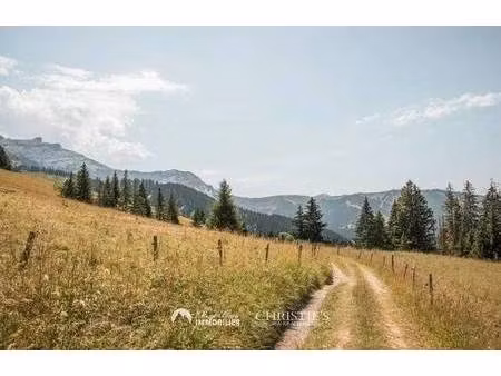 mont blanc immobilier