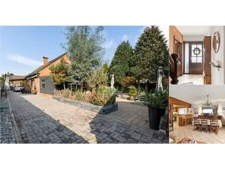 maison à vendre à berkenlaan 3 sint-job-in-'t-goor (rbv68860)