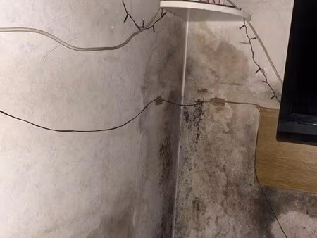 bonjour je recherche logement d’urgence