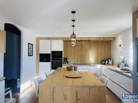 maison de 260 m2 avec hangar et dépendances dans une zone ar