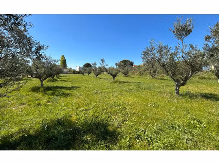 terrain magalas m² t- à vendre  179 000 €