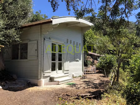 cabanon sur l'ile du levant