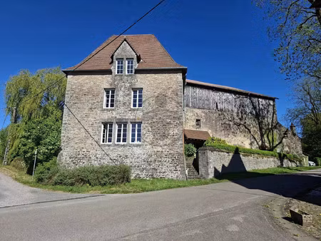 vente maison de village 7 pièces 225 m2 à baume-les-dames