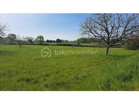 virginie schneider bsk immobilier