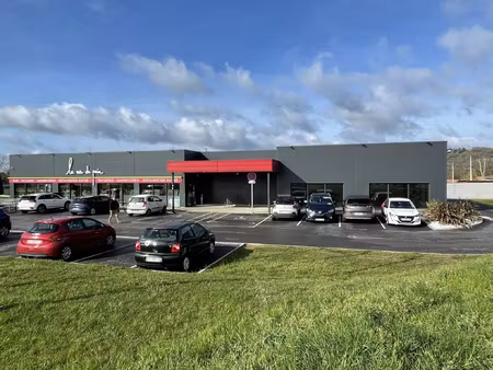 location commerce 217 m² à lescure-d’albigeois (81380)