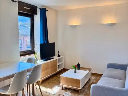 appartement t2 hypercentre (vue château)