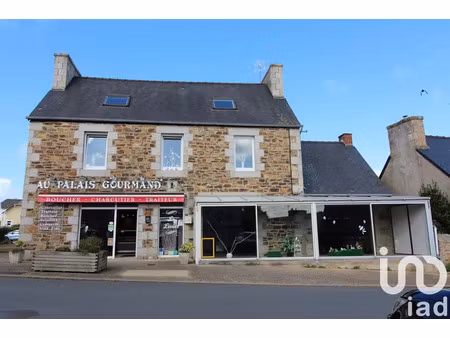 immeuble à trélévern (22660)