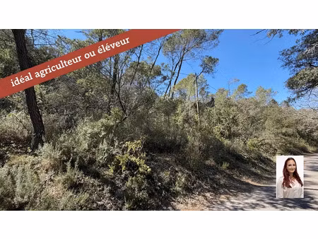 vente terrain 5220 m² à entrecasteaux (83570)  8 000 €