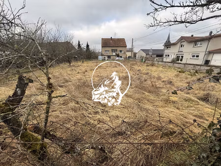 terrain à vendre holling