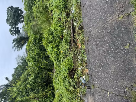 vente terrain 105 m² à cayenne (97300)  54 445 €