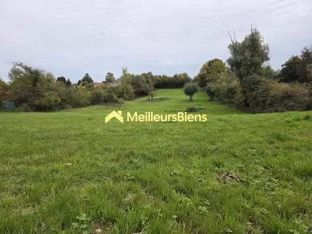 vente terrain 2465 m² à le quesnoy (59530)  75 000 €
