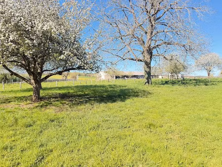 vente terrain 890 m² à buthiers (70190)  56 000 €