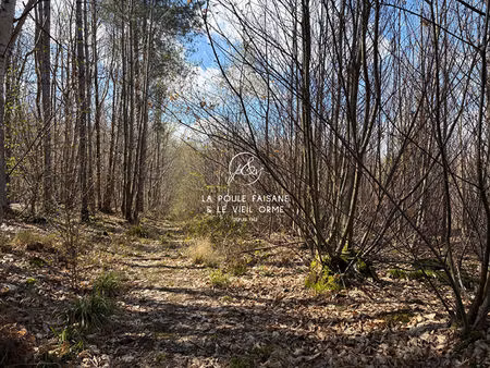 vente domaine boise region montfort l'amaury