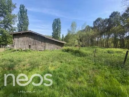 grange à réhabiliter sur grand terrain arboré