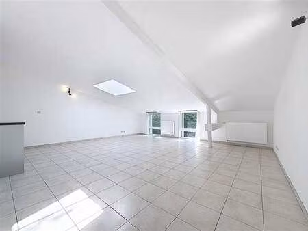 duplex lumineux avec beaux volumes