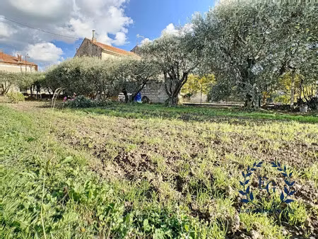 vente terrain 330 m² à cheval-blanc (84460)  150 000 €