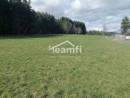 vente terrain à batir 1500 m² à saint-pal-de-mons (43620)  94 000 €