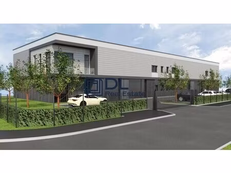 vente entrepôt 181 m² à 309 m²