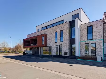 appartement à louer à bilzen € 820 (ln766) - matisimmo | zimmo