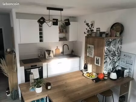 t4 duplex de caractère centre ville