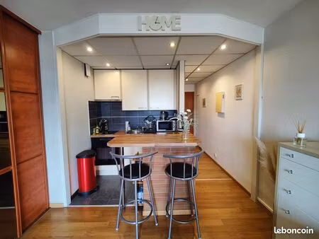 beau et lumineux appartement de 25 m²  tram + parking