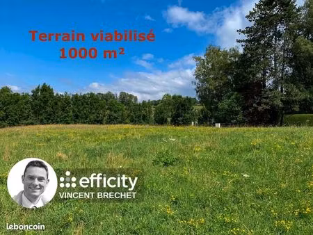 terrain 1 000 m² allonzier la caille