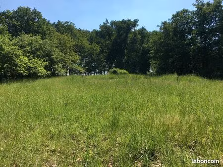 terrain ideal 1 tiny house