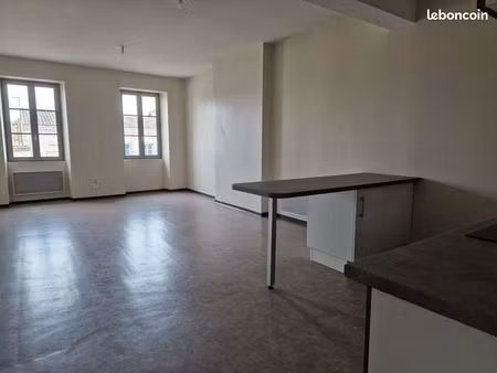 appartement t3 spacieux très lumineux