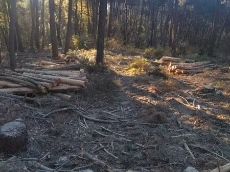 terrains non constructibles