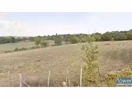 terrain