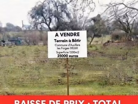 terrain constructible