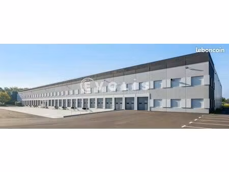 local industriel 8 018 m²