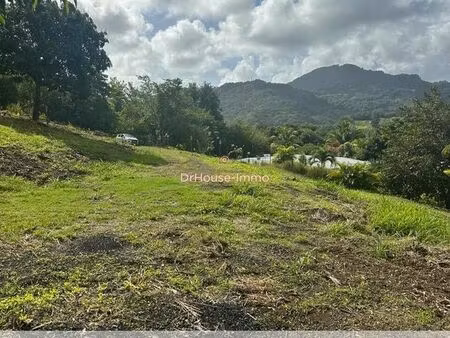 terrain 1033 m² le francois