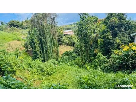 terrain 1 320 m² sainte marie
